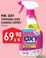 MR. OXY TERMİNA LEKE ÇIKARICI SPREY 750 ML fiyat ve kampanya bilgisi